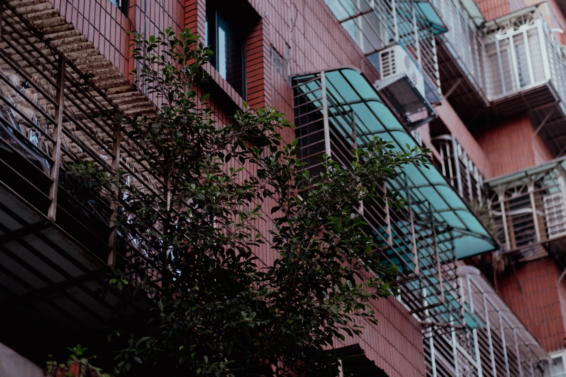 Building with tree