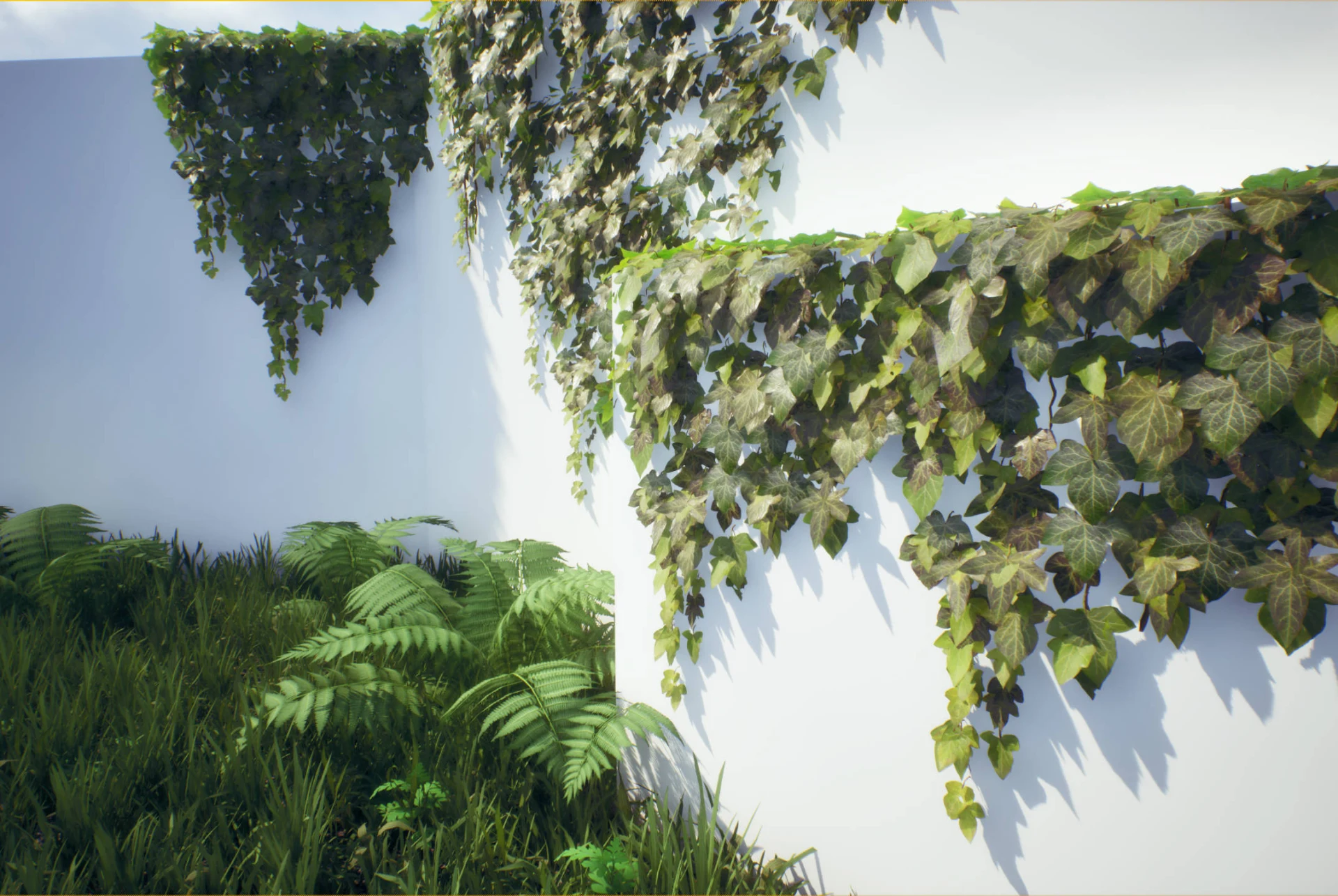 ivy1