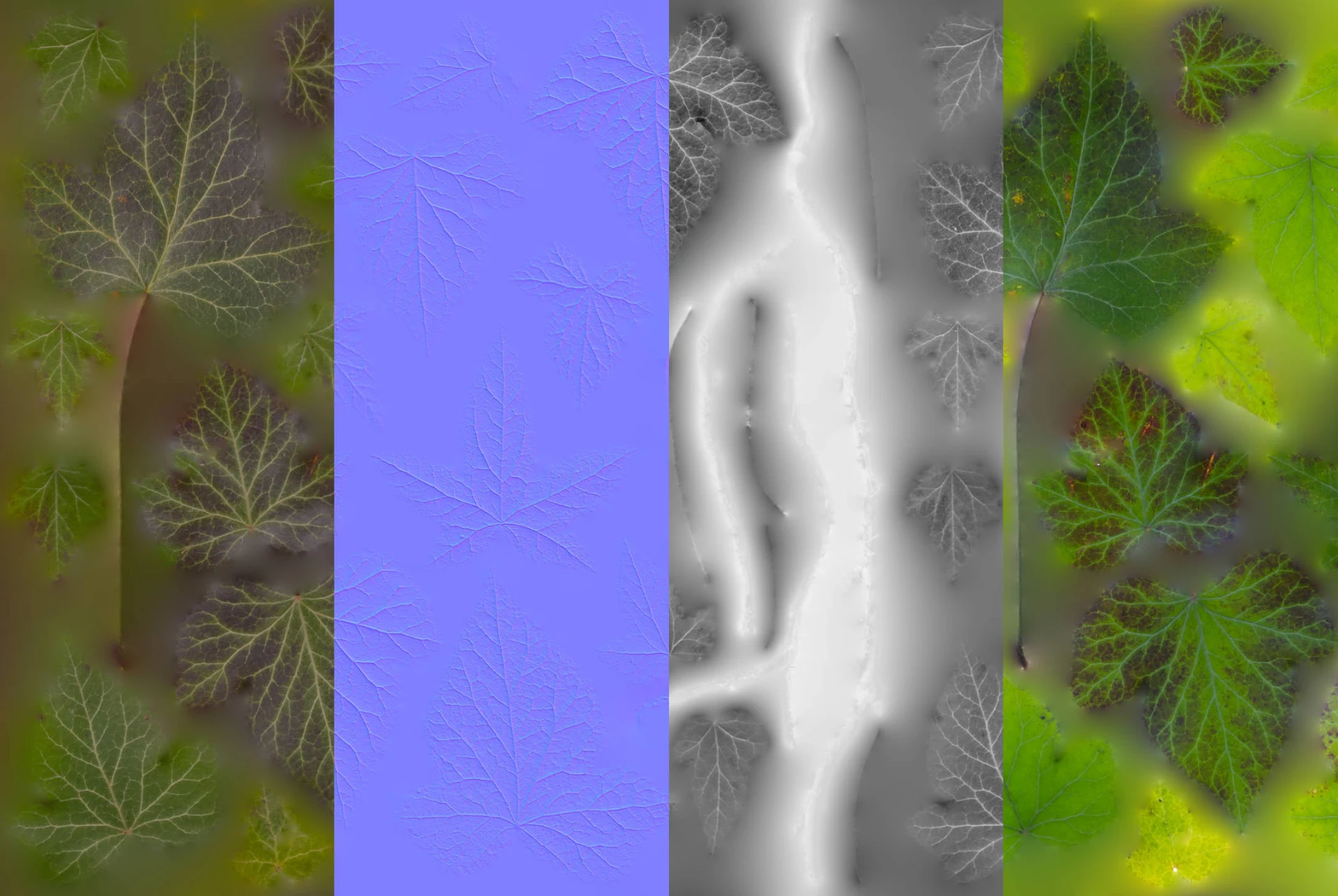 ivytextureset